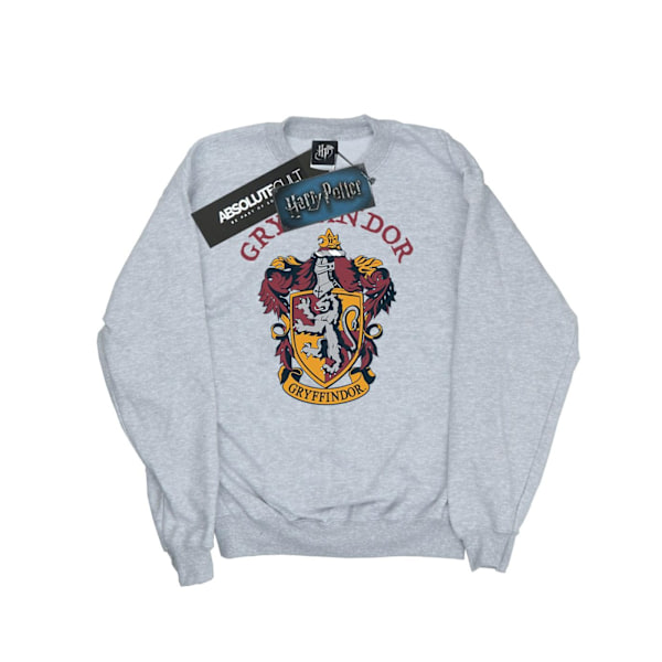 Harry Potter Herr Gryffindor Sweatshirt 3XL Sports Grey Sports Grey 3XL