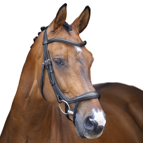 Velociti Lusso Curved Flash Läder Ergonomisk Hästgrimma Ponny Black Pony