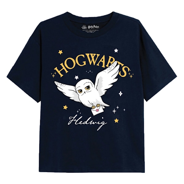 Harry Potter T-shirt för flickor med Hedwig och Hogwarts, 7-8 år, marinblå Navy 7-8 Years