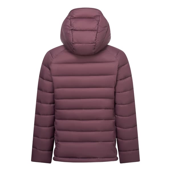 Dare 2B Torrek vadderad jacka för dam, storlek 16 UK, Huckleberry Huckleberry 16 UK