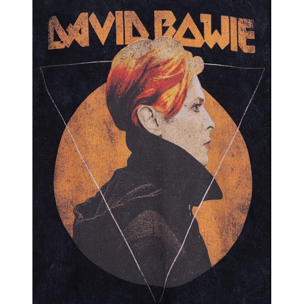 David Bowie Unisex Vuxen Moon T-Shirt M Svart Black M