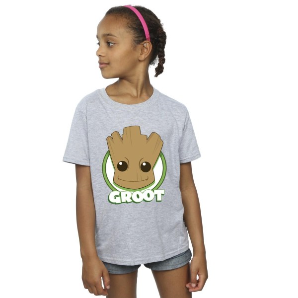 Guardians Of The Galaxy Girls Groot Badge Bomull T-shirt 12-13 Sports Grey 12-13 Years