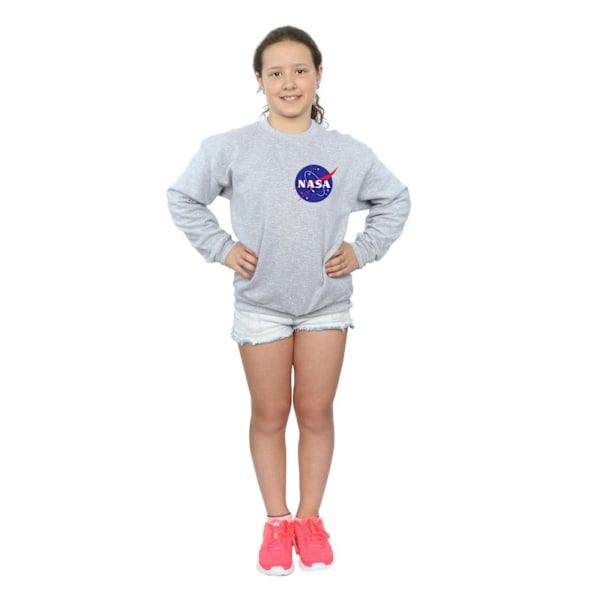 NASA Girls Classic Insignia Chest Logo Sweatshirt 7-8 år Spo Sports Grey 7-8 Years