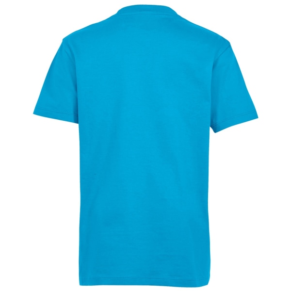 SOLS Kids Unisex Imperial Heavy Cotton kortärmad T-shirt 4 år Aqua 4yrs