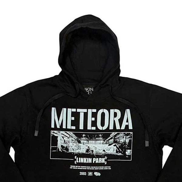 Linkin Park Unisex Adult Meteora Wall Art Hoodie S Svart Black S