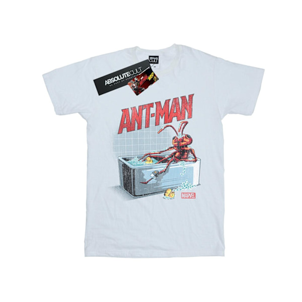 Marvel Dam/Damer Ant-Man And The Wasp Badbyxor Bomull Boyfriend T-Shirt M Vit White M