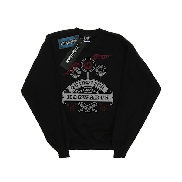 Harry Potter Quidditch på Hogwarts Sweatshirt för flickor 12-13 år Black 12-13 Years