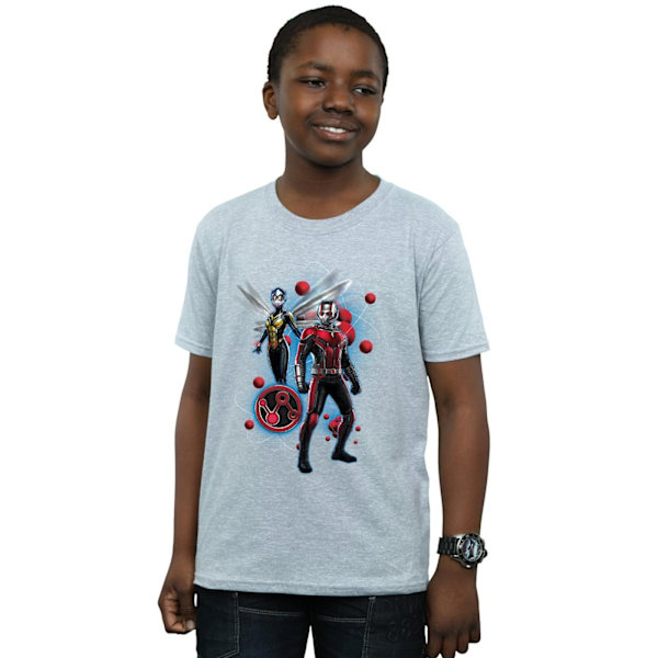 Ant-Man And The Wasp Pojkar Partikel Pose Bomulls T-Shirt 12-13 År Sports Grey 12-13 Years