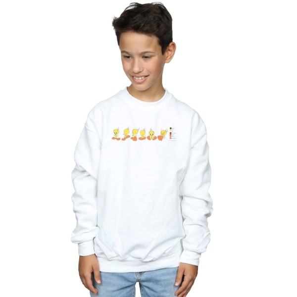 Looney Tunes Boys Tweety Pie Colour Code Sweatshirt 5-6 år W White 5-6 Years