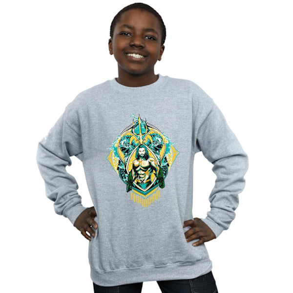 DC Comics Boys Aquaman The Trench Crest Sweatshirt 9-11 år S Sports Grey 9-11 Years