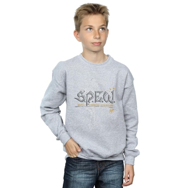 Harry Potter Boys Dobby Elfish Welfare Sweatshirt 7-8 år Spo Sports Grey 7-8 Years