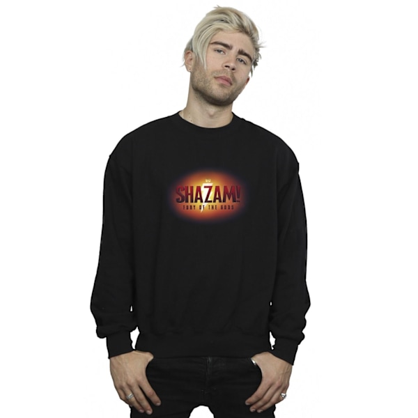 DC Comics Herr Shazam Fury Of The Gods 3D Logotyp Flare Sweatshirt Black M