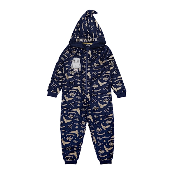 Harry Potter Barn/Barn Hedwig Hogwarts All-In-One Nattkläder Blue 10-11 Years