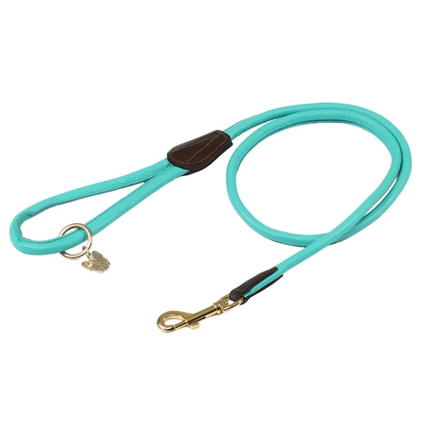 Digby & Fox Rullad Läder Hundkoppel En Storlek Teal Teal One Size