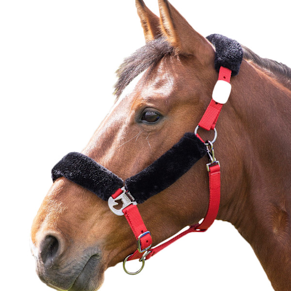Shires Fleece Fodrad Hästgrimma Cob Röd/Svart Red/Black Cob