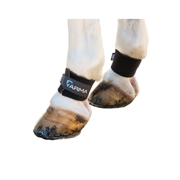 ARMA Horse Pastern Wraps (Pack of 2) One Size Black Black One Size