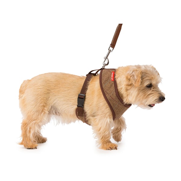 House Of Paws Memory Foam Tweed Hundsele S Brun Brown S