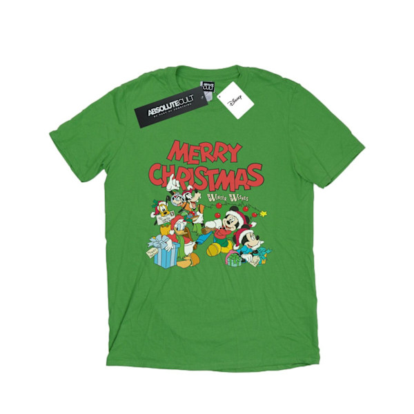 Disney Dam/Damer Mickey Och Vänner Vinterönskningar Bomull Boyfriend T-Shirt XXL Irländsk Grön Irish Green XXL