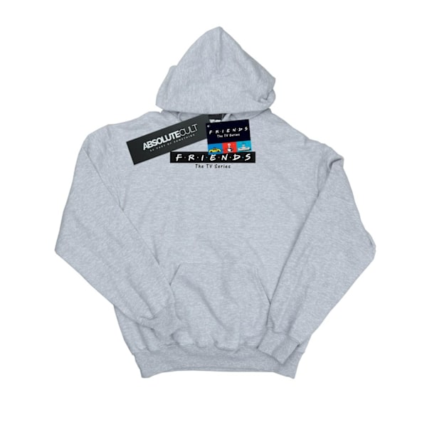 Friends Dam/Kvinnor Logo Block Hoodie M Sports Grey Sports Grey M