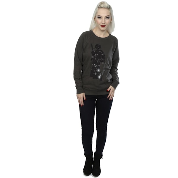 Star Wars Dam/Damer Princess Leia Stars Sweatshirt XXL Ljus Grafit Light Graphite XXL