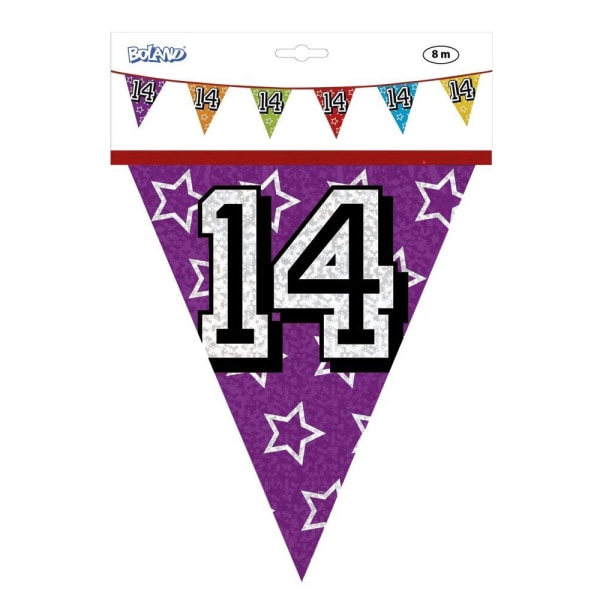 Boland Holografisk 14-års banner One Size Flerfärgad Multicoloured One Size