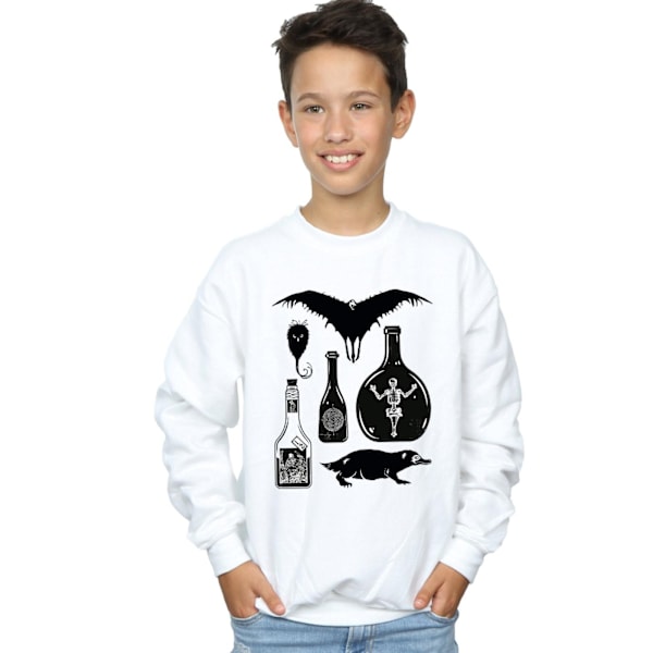 Fantastiska vidunder Pojkar Enkla ikoner Sweatshirt 12-13 år Vit White 12-13 Years