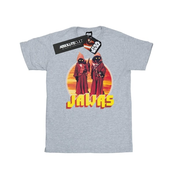 Star Wars Girls A New Hope Jawas Bomull T-shirt 9-11 år Spor Sports Grey 9-11 Years