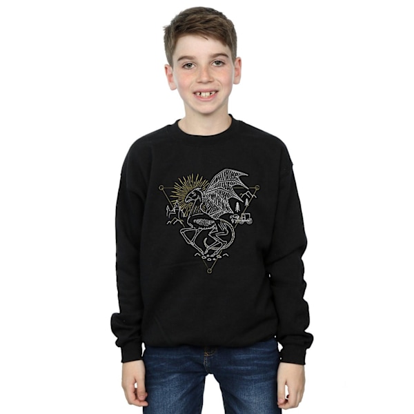 Harry Potter Thestral Line Art Sweatshirt för pojkar 12-13 år Svart Black 12-13 Years