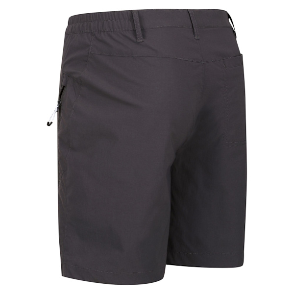Regatta Highton Vandringshorts för Herr 30R Sälgrå Seal Grey 30R