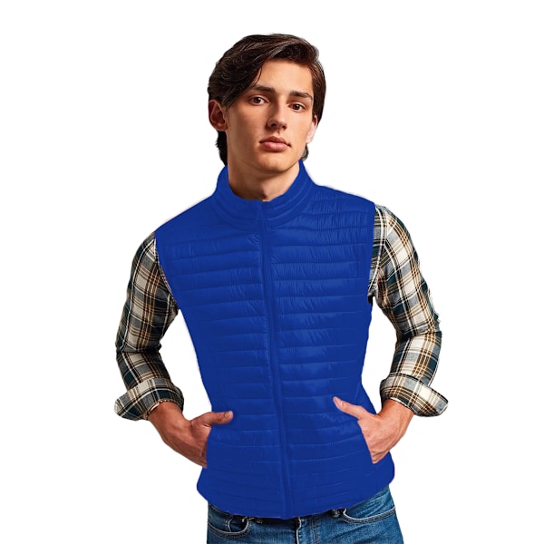 2786 Herr Tribe Fineline Vadderad Väst/Bodywarmer S Royal Royal S