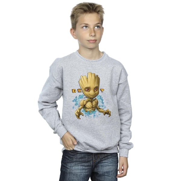 Guardians Of The Galaxy Pojkar Groot Blommor Sweatshirt 9-11 År Sports Grey 9-11 Years