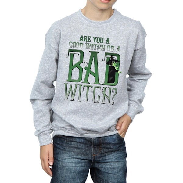 Trollkarlen från Oz Pojkar God Häxa Ond Häxa Sweatshirt 7-8 År Sports Grey 7-8 Years