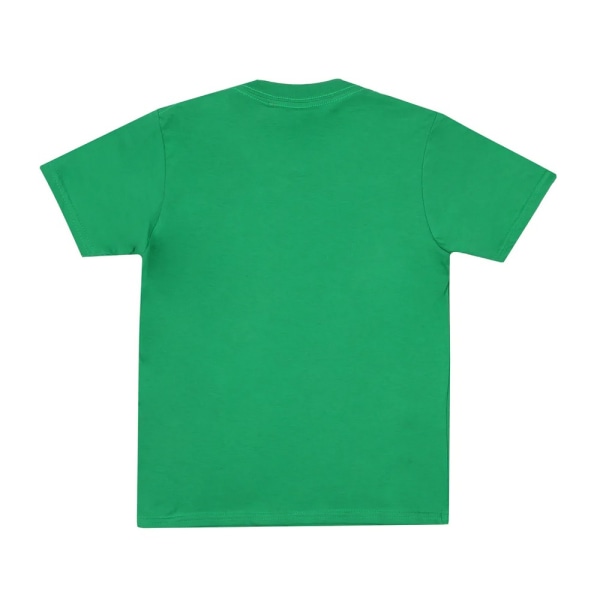 Minecraft Boys Creeper T-Shirt XS Irish Green Irish Green XS