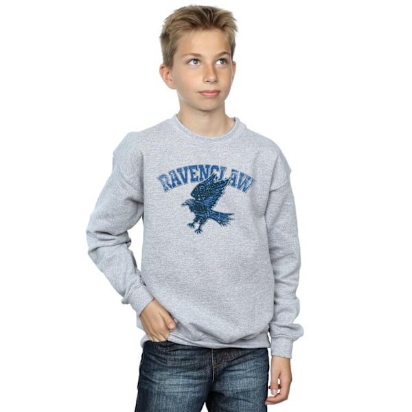 Harry Potter Pojkar Ravenclaw Sport Emblem Sweatshirt 7-8 År S Sports Grey 7-8 Years