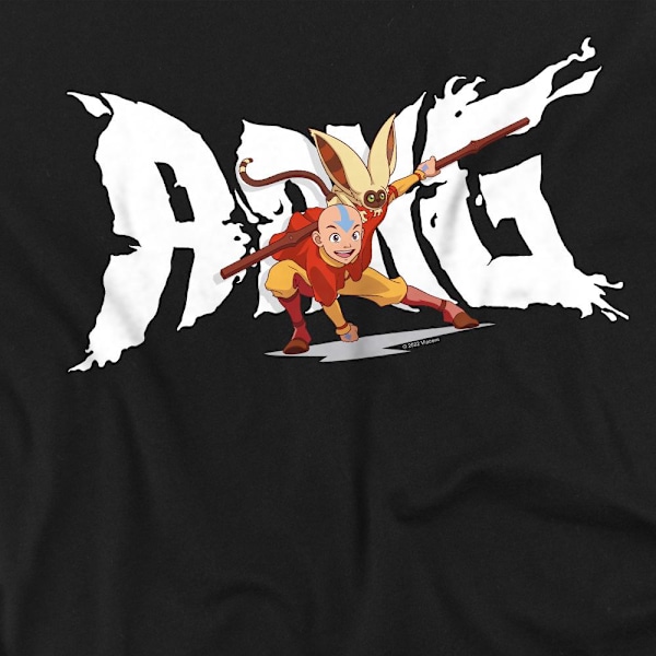 Avatar: The Last Airbender Herr Aang & Momo T-Shirt 4XL Svart Black 4XL