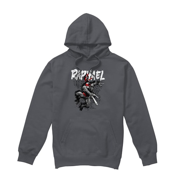 Teenage Mutant Ninja Turtles Raphael Hoodie för män M Gråmelerad Charcoal M