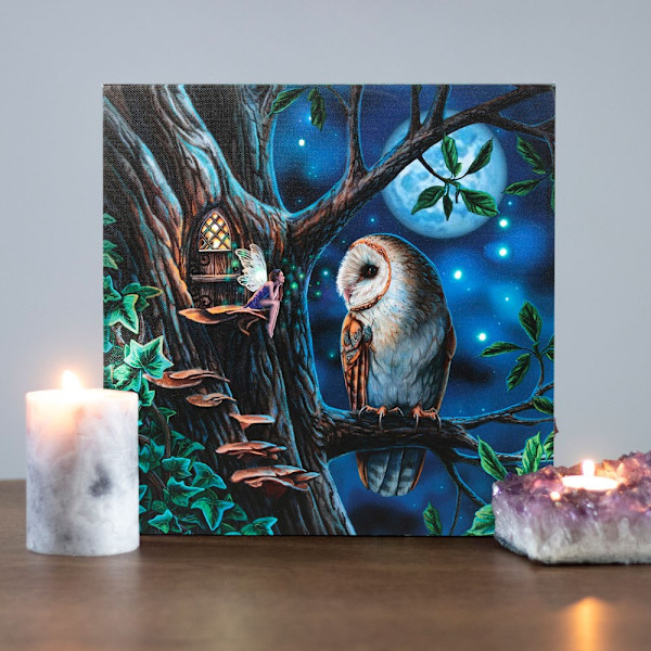 Lisa Parker Fairy Tales Ljus Upp Canvas Inramad Plakett En Storlek Blue/Brown/Green One Size