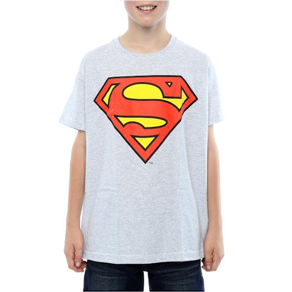 DC Comics Pojkars Superman Logotyp T-shirt 5-6 År Heather Grey Heather Grey 5-6 Years
