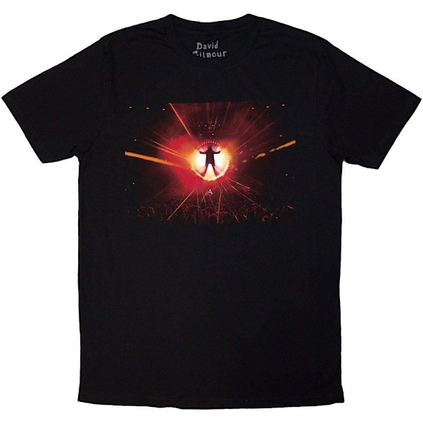 David Gilmour Unisex Vuxen Luck & Strange Scenfoto Ryggtryck Black XL