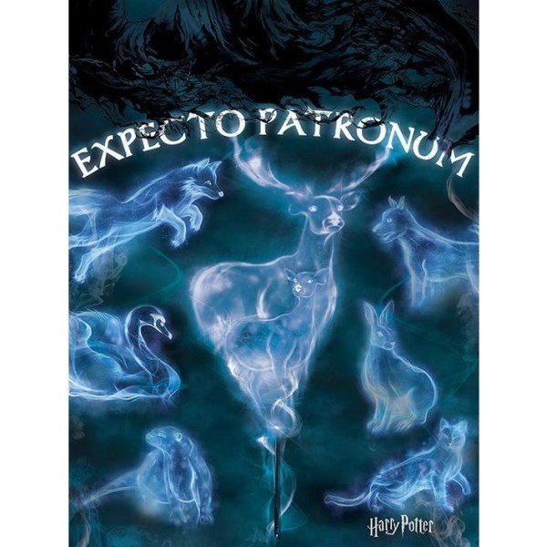 Harry Potter Expecto Patronum Print 80cm x 60cm Blå/Whi Blue/White/Black 80cm x 60cm