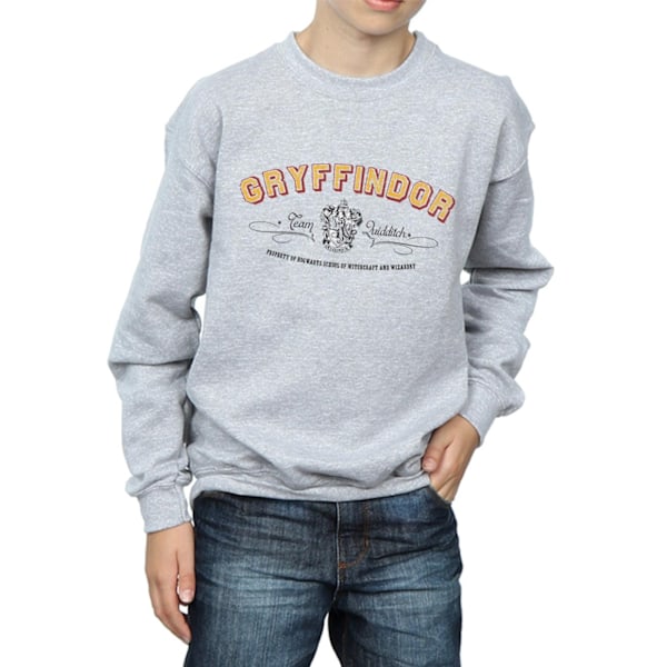 Harry Potter Pojkar Gryffindor Team Quidditch Sweatshirt 7-8 År Sports Grey 7-8 Years