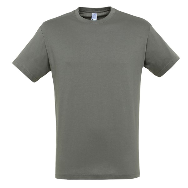 SOLS Regent Kortärmad T-shirt Herr M Zink Zinc M