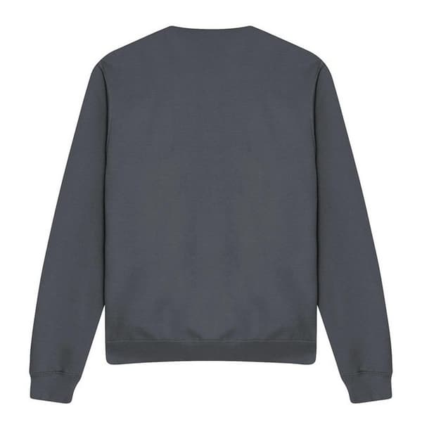 Asterix Unisex Vuxen Csar Of Rome Sweatshirt S Ljusgrafit Light Graphite S