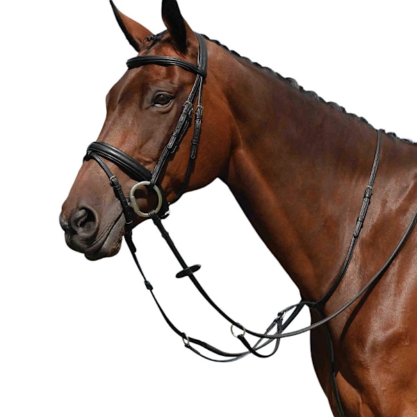 Collegiate Syntovia+ Plain Flat Running Martingale Cob Svart Black Cob