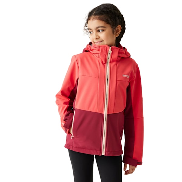 Regatta Haydenbury II Softshelljacka för Barn/Ungdomar 9-10 År Red Sky/Rumba Red 9-10 Years