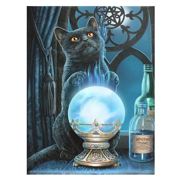 Lisa Parker The Witches Apprentice Canvas One Size Multicoloure Multicoloured One Size