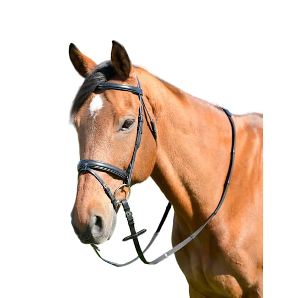 Kincade Classic Raised Flash Läder Hästgrimma Med Tyglar Black Pony