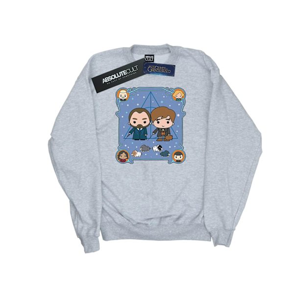 Fantastiska vidunder Girls Chibi Newt och Dumbledore Sweatshirt 12- Sports Grey 12-13 Years