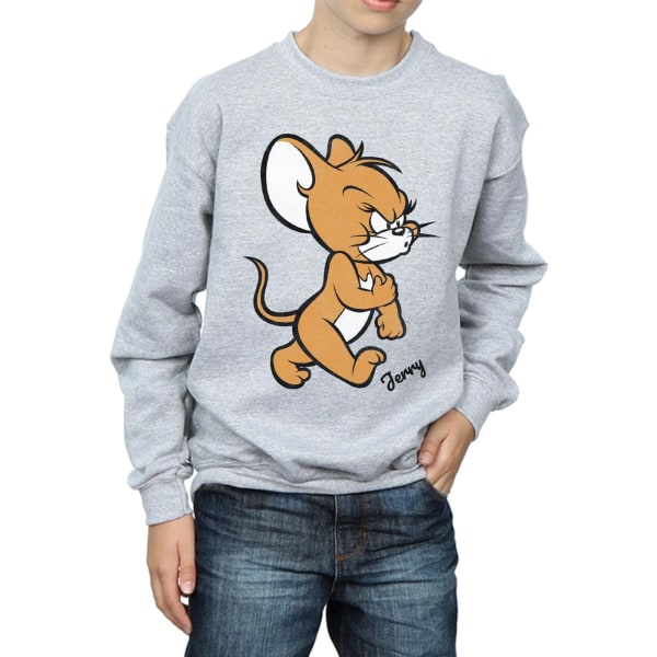 Tom och Jerry Boys Angry Mouse Cotton Sweatshirt 12-13 Years Sp Sports Grey 12-13 Years