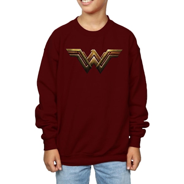 DC Comics Boys Justice League Movie Wonder Woman Emblem Sweatshirt Burgundy 9-11 Years